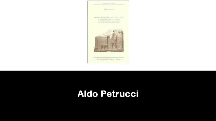 libri di Aldo Petrucci