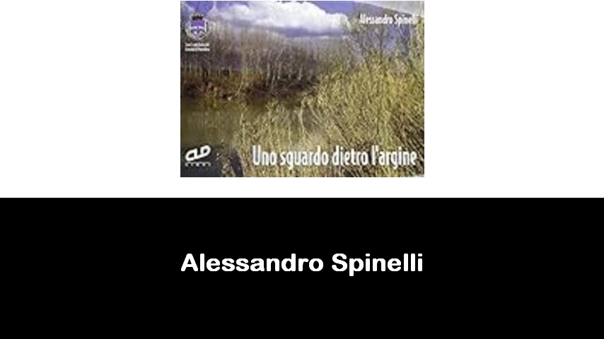 libri di Alessandro Spinelli