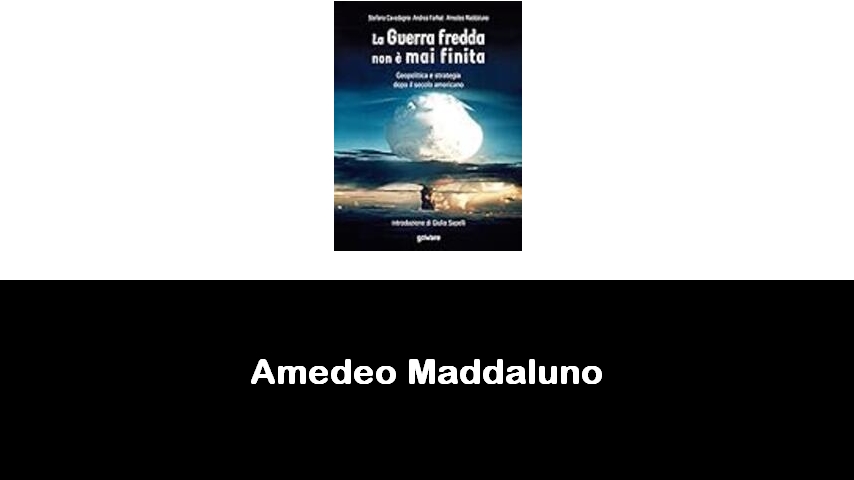 libri di Amedeo Maddaluno