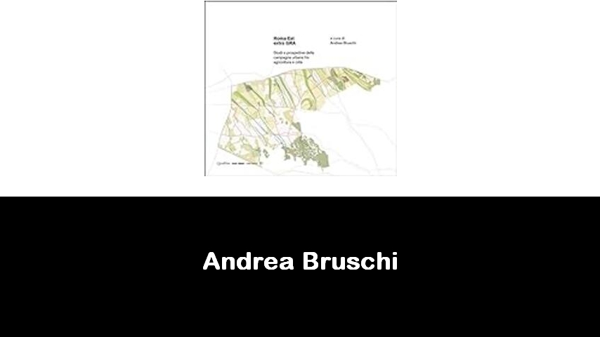 libri di Andrea Bruschi