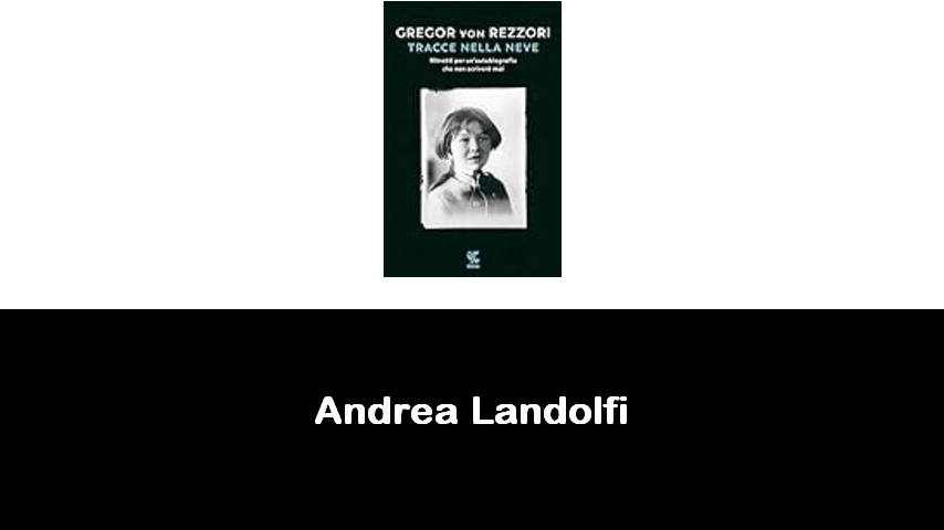 libri di Andrea Landolfi