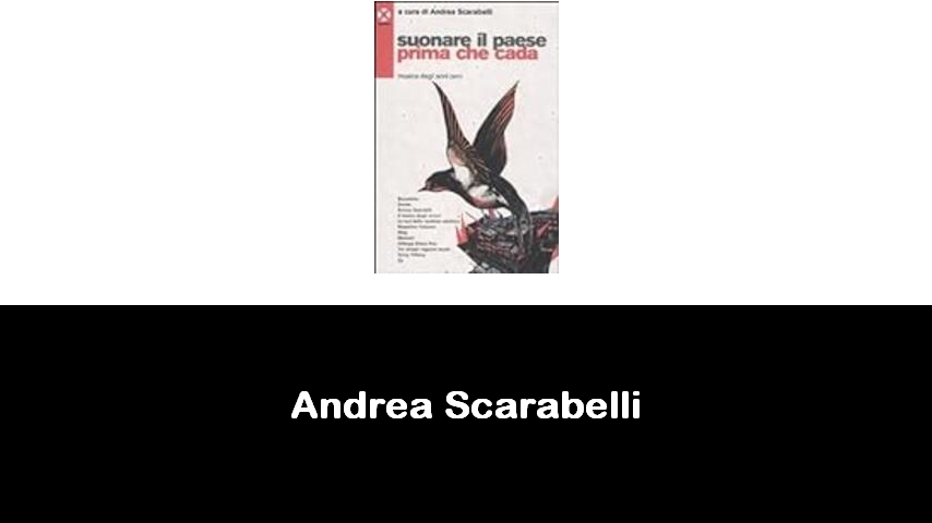 libri di Andrea Scarabelli