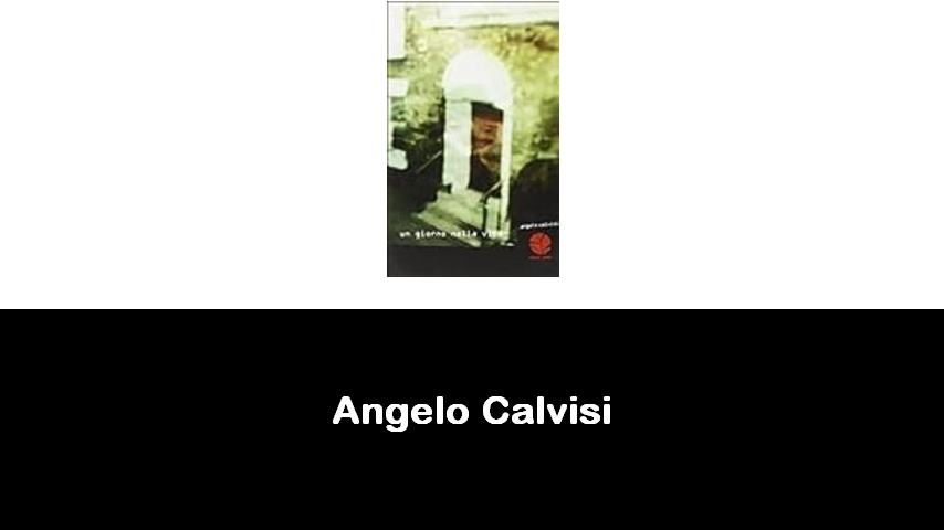 libri di Angelo Calvisi