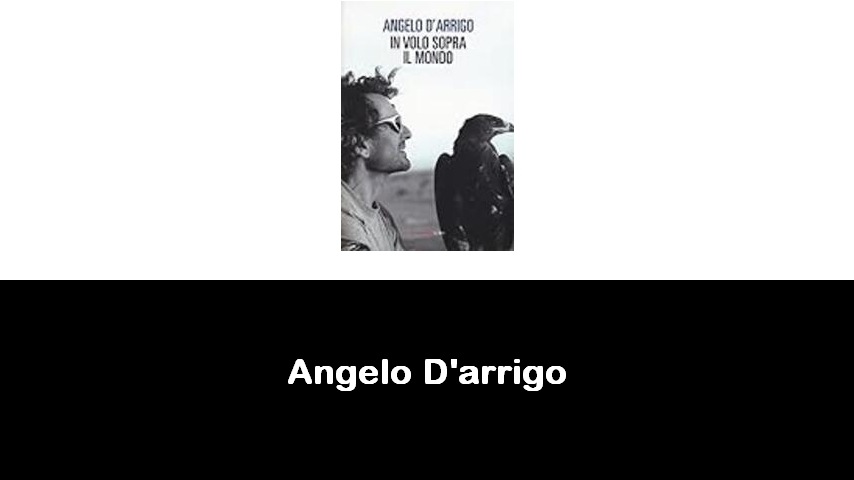 libri di Angelo D'arrigo