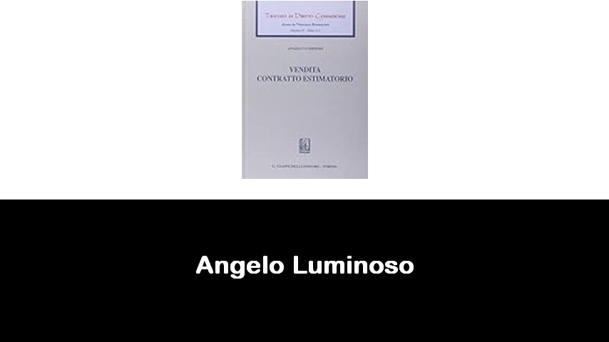 libri di Angelo Luminoso