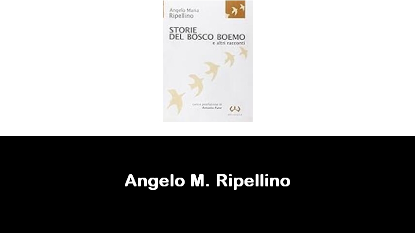 libri di Angelo M. Ripellino