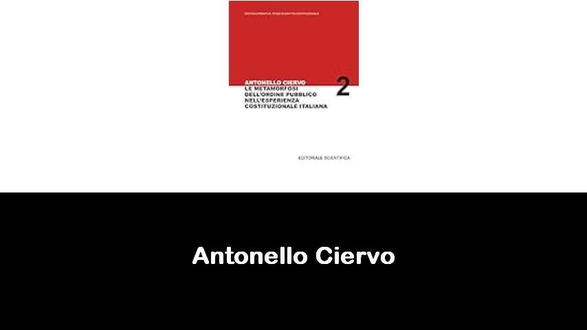 libri di Antonello Ciervo