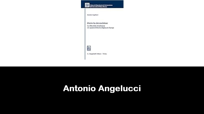 libri di Antonio Angelucci