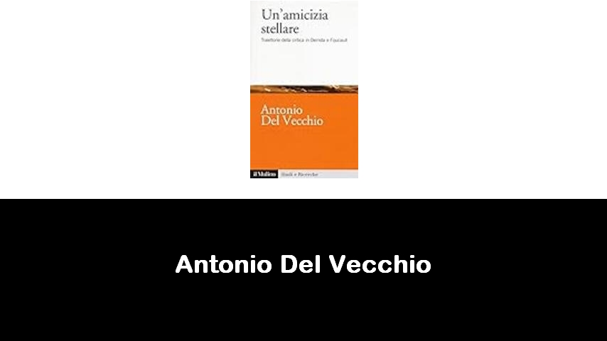 libri di Antonio Del Vecchio