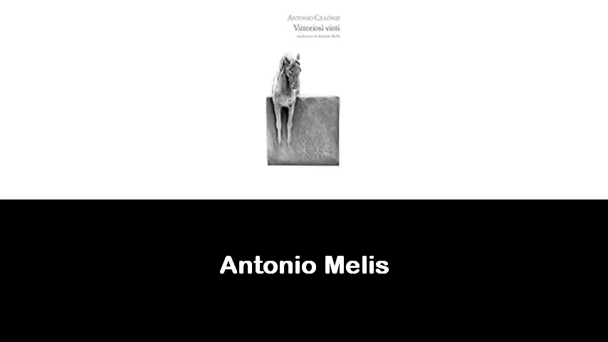 libri di Antonio Melis