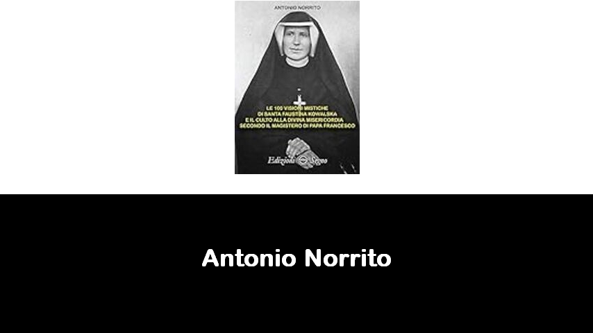 libri di Antonio Norrito