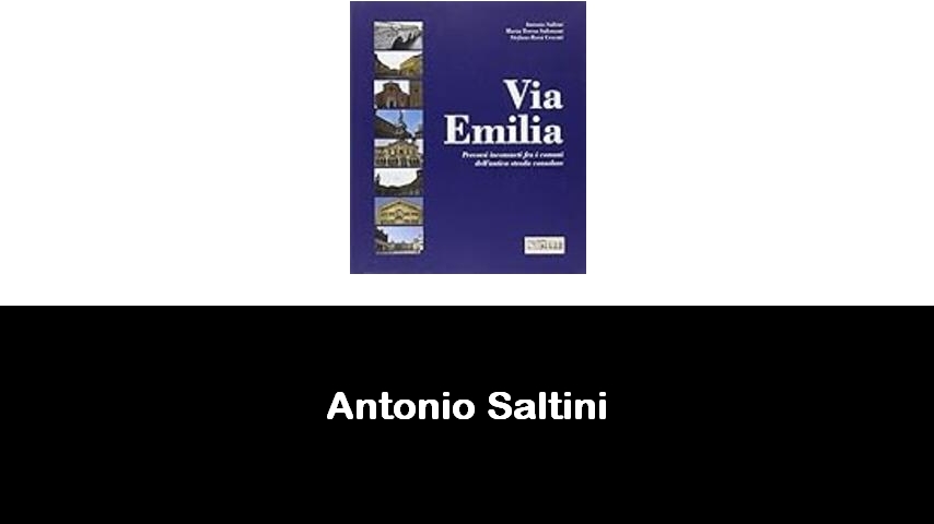 libri di Antonio Saltini