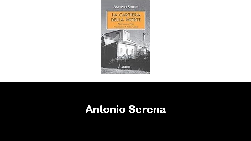 libri di Antonio Serena