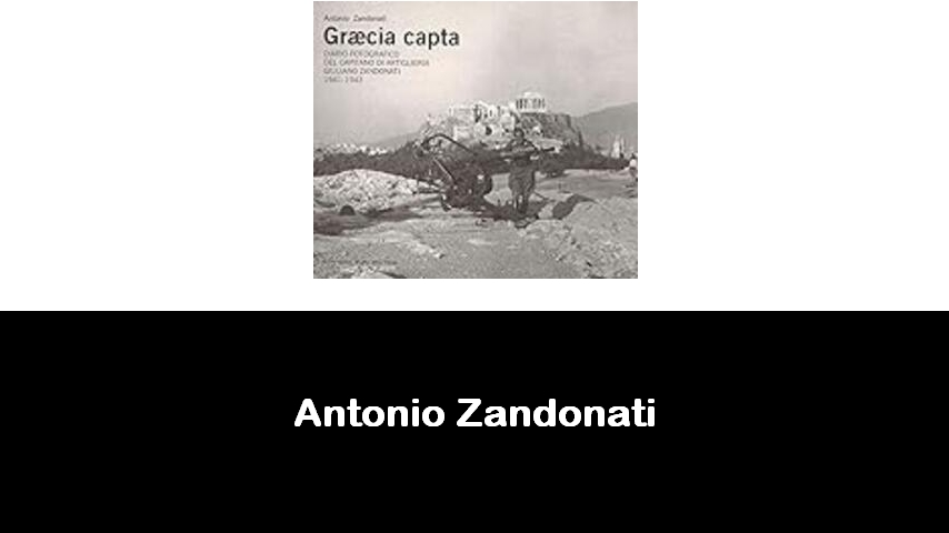 libri di Antonio Zandonati