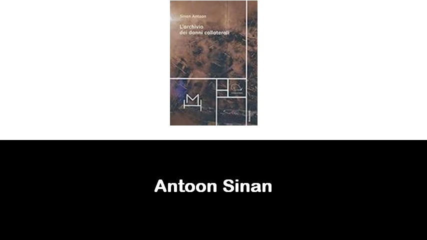 libri di Antoon Sinan