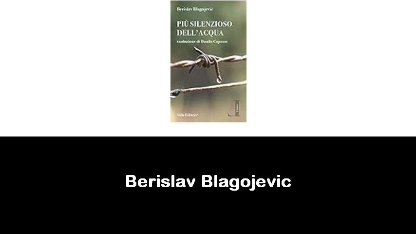 libri di Berislav Blagojevic