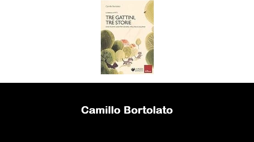 libri di Camillo Bortolato