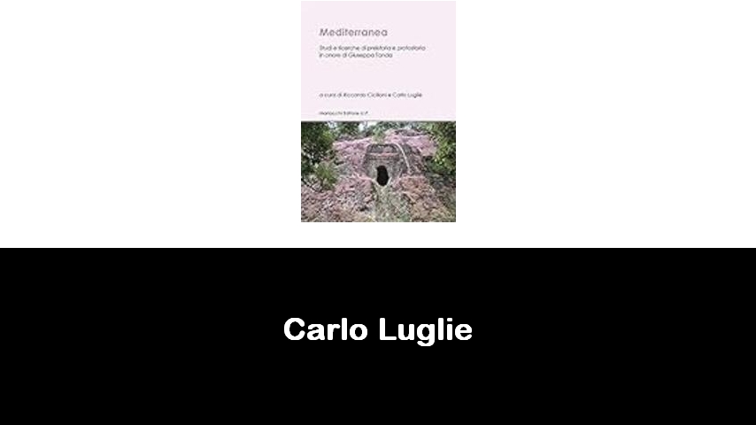 libri di Carlo Lugliè