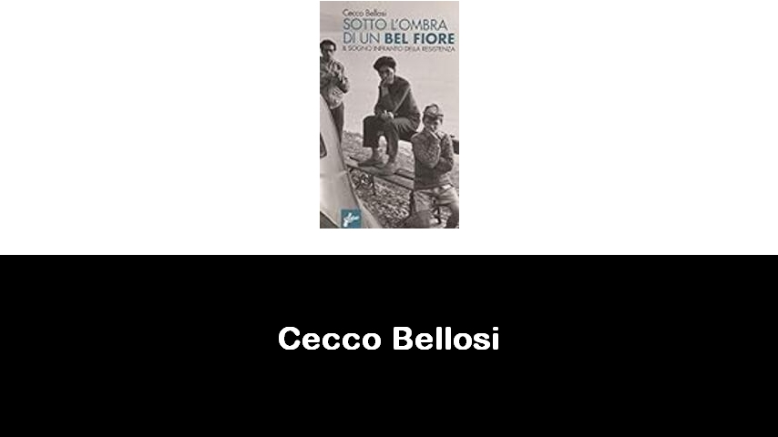 libri di Cecco Bellosi