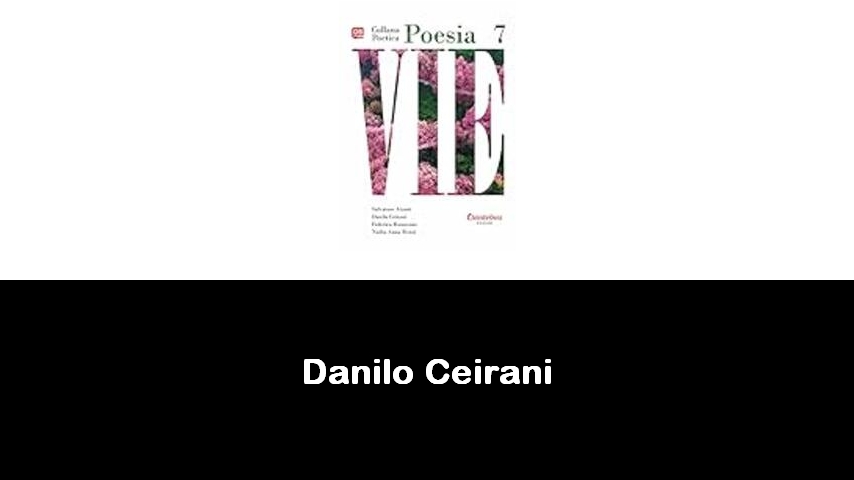 libri di Danilo Ceirani