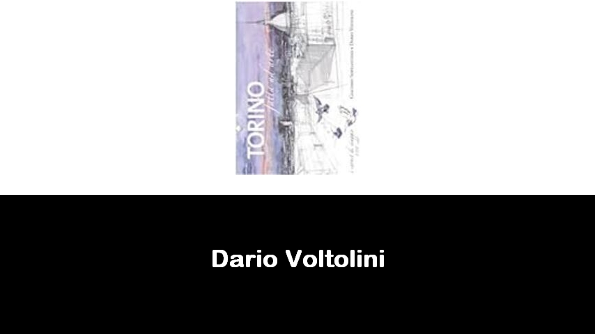 libri di Dario Voltolini