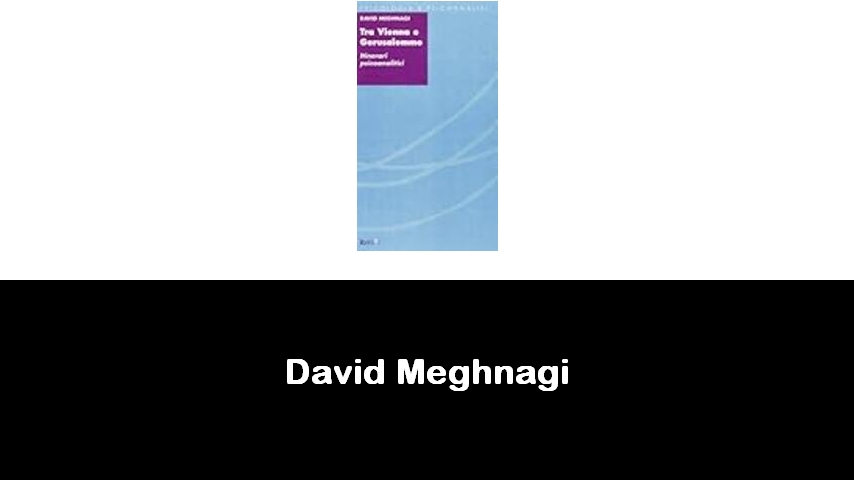 libri di David Meghnagi