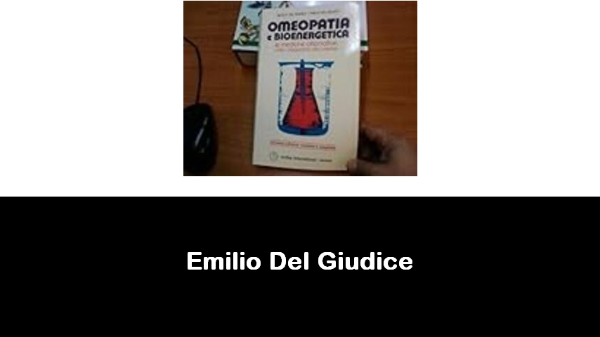 libri di Emilio Del Giudice