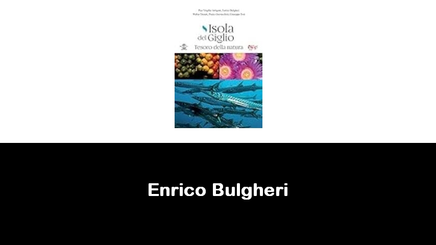 libri di Enrico Bulgheri