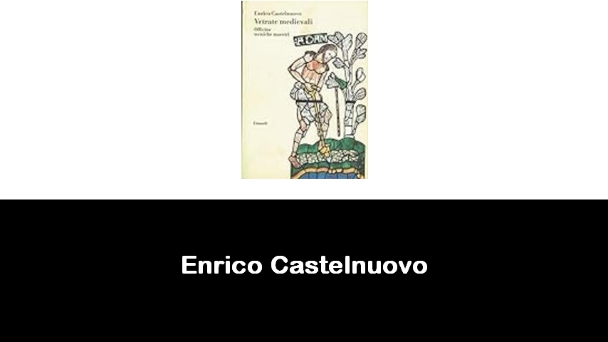 libri di Enrico Castelnuovo