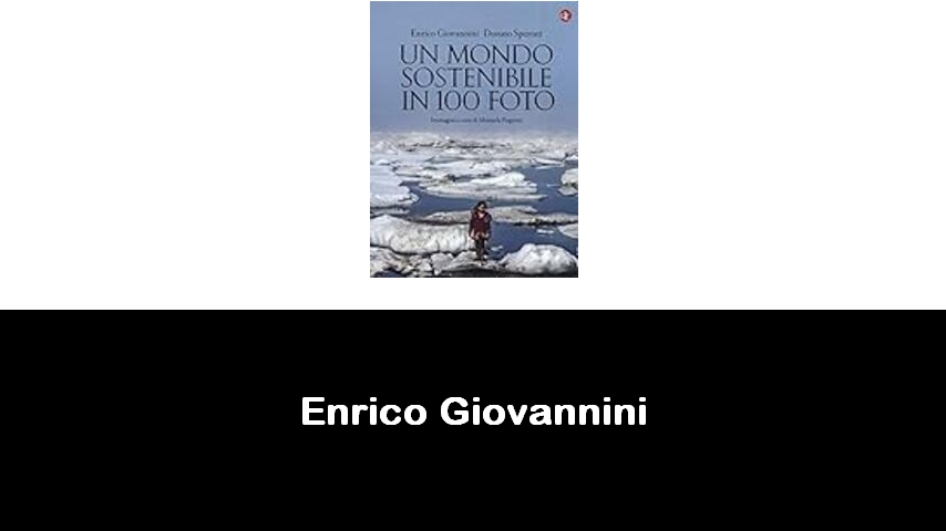 libri di Enrico Giovannini