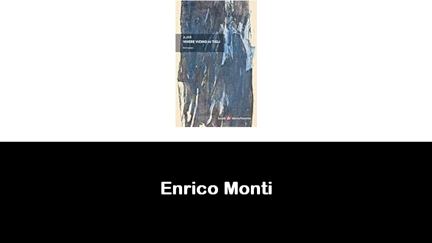 libri di Enrico Monti