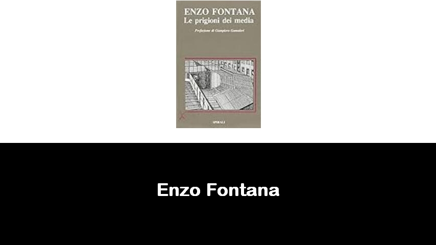 libri di Enzo Fontana