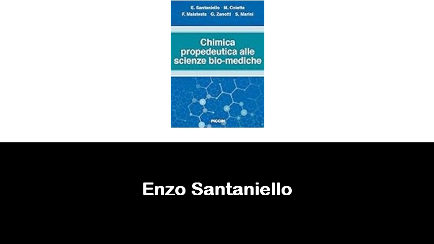 libri di Enzo Santaniello