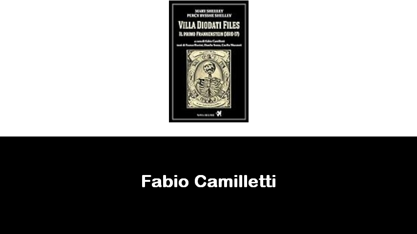 libri di Fabio Camilletti