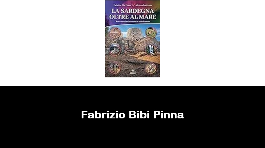 libri di Fabrizio Bibi Pinna