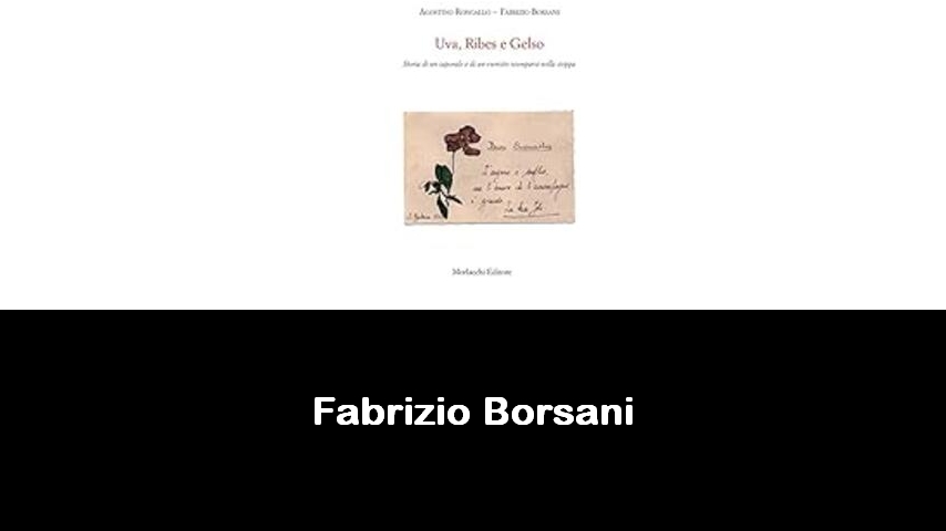 libri di Fabrizio Borsani