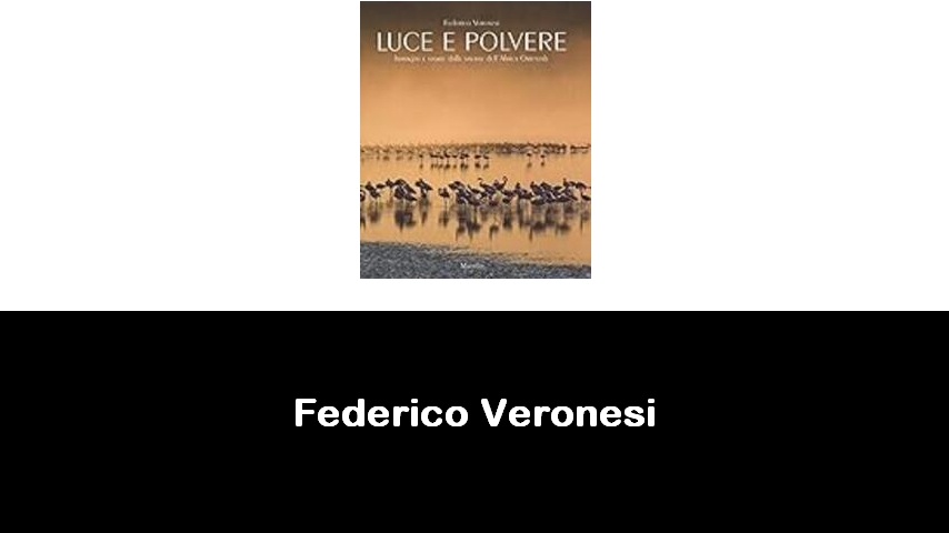 libri di Federico Veronesi