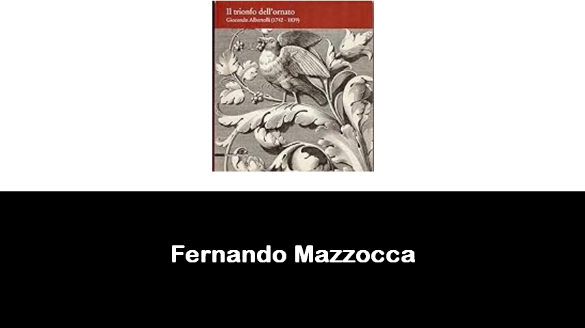 libri di Fernando Mazzocca