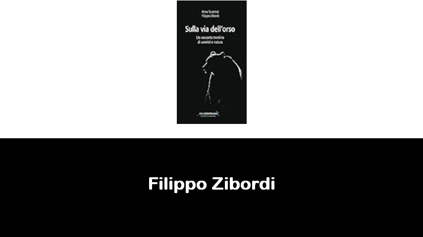libri di Filippo Zibordi