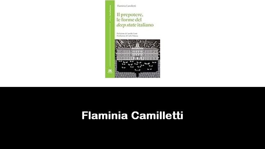 libri di Flaminia Camilletti