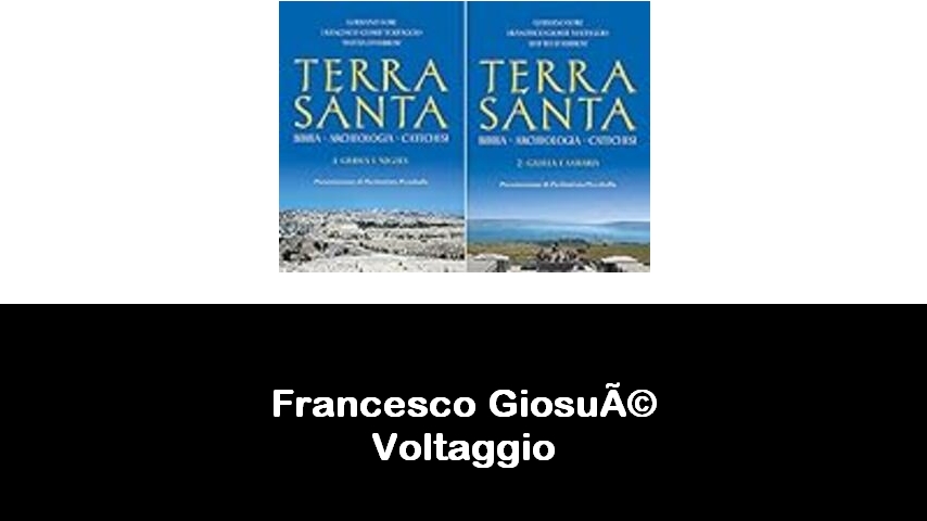 libri di Francesco Giosué Voltaggio
