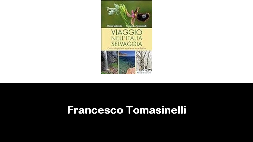 libri di Francesco Tomasinelli