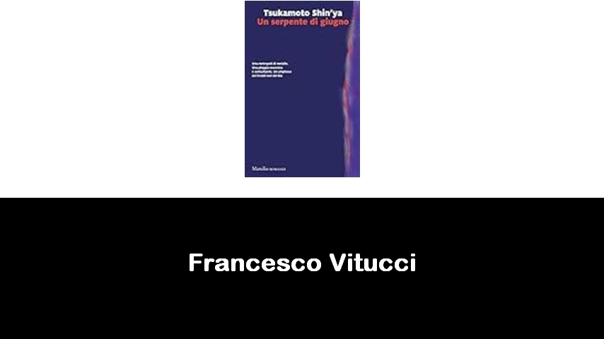 libri di Francesco Vitucci