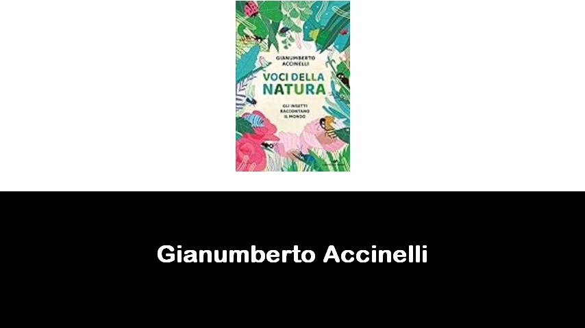 libri di Gianumberto Accinelli