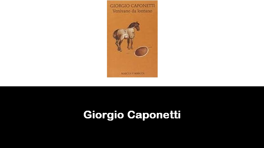 libri di Giorgio Caponetti