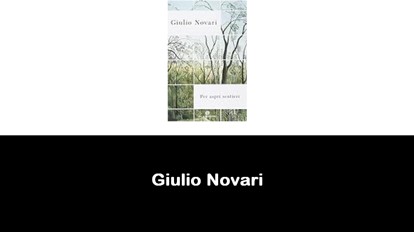 libri di Giulio Novari