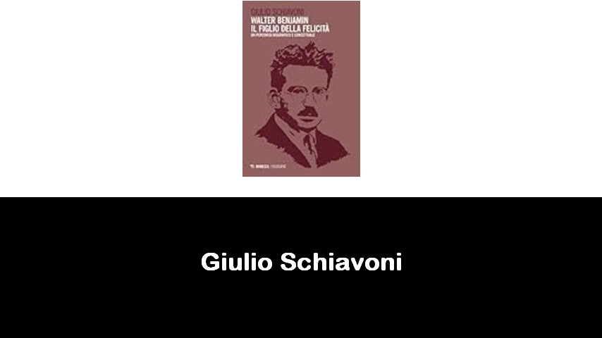 libri di Giulio Schiavoni