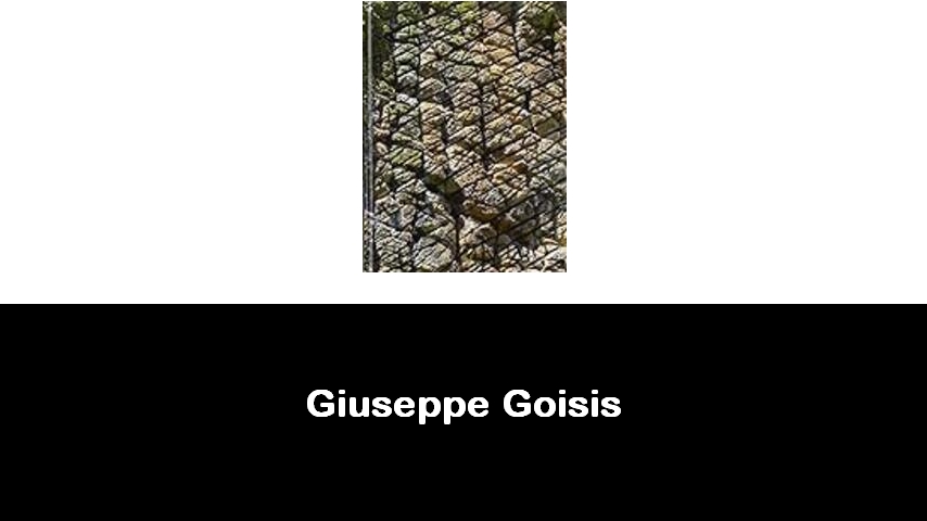 libri di Giuseppe Goisis