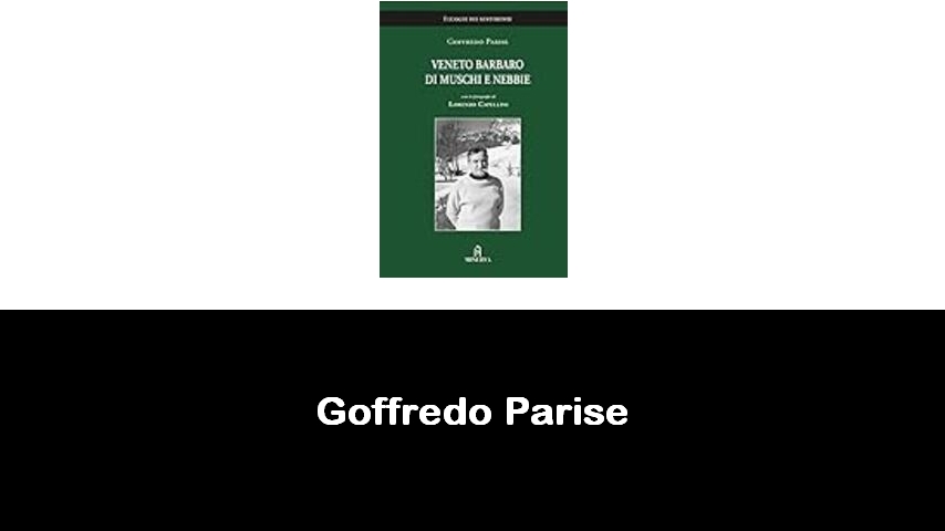 libri di Goffredo Parise