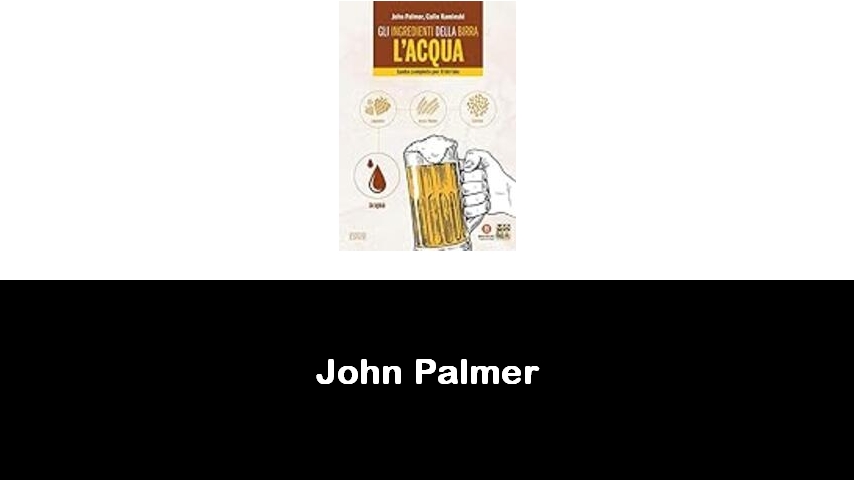 libri di John Palmer